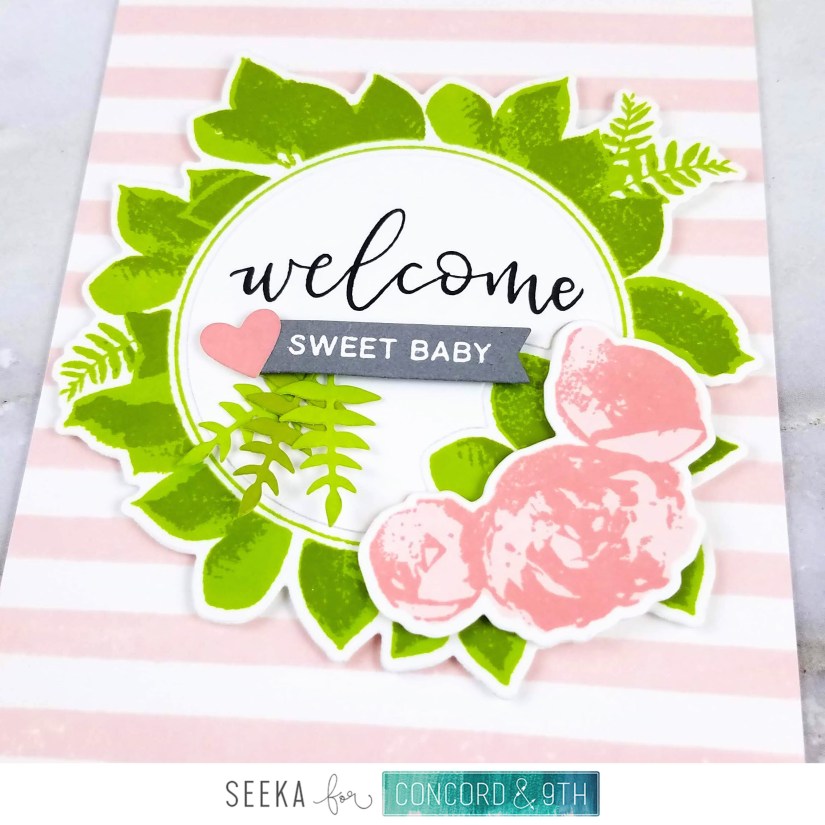 Seeka - Laurel Frame 3 NEW