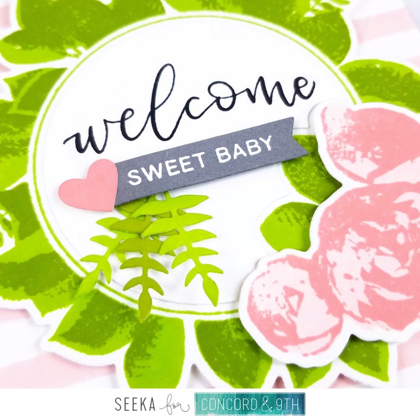 Seeka - Laurel Frame 4 NEW