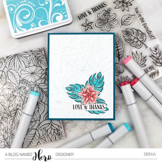 ABNH 2019-06 Seeka Solo 1