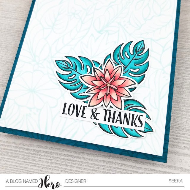 ABNH 2019-06 Seeka Solo 2