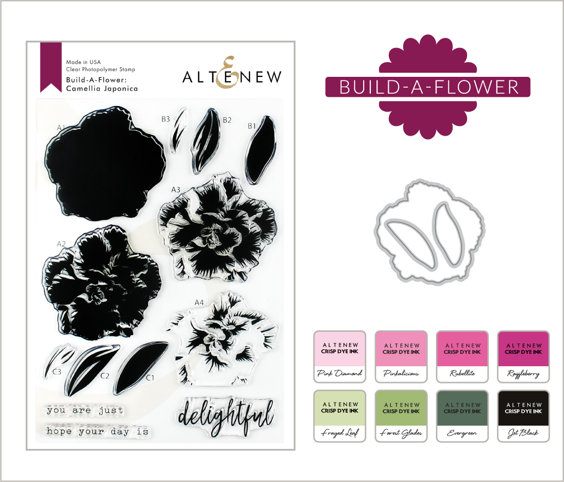 BAF Camellia Japonica_Blog Post with Ink