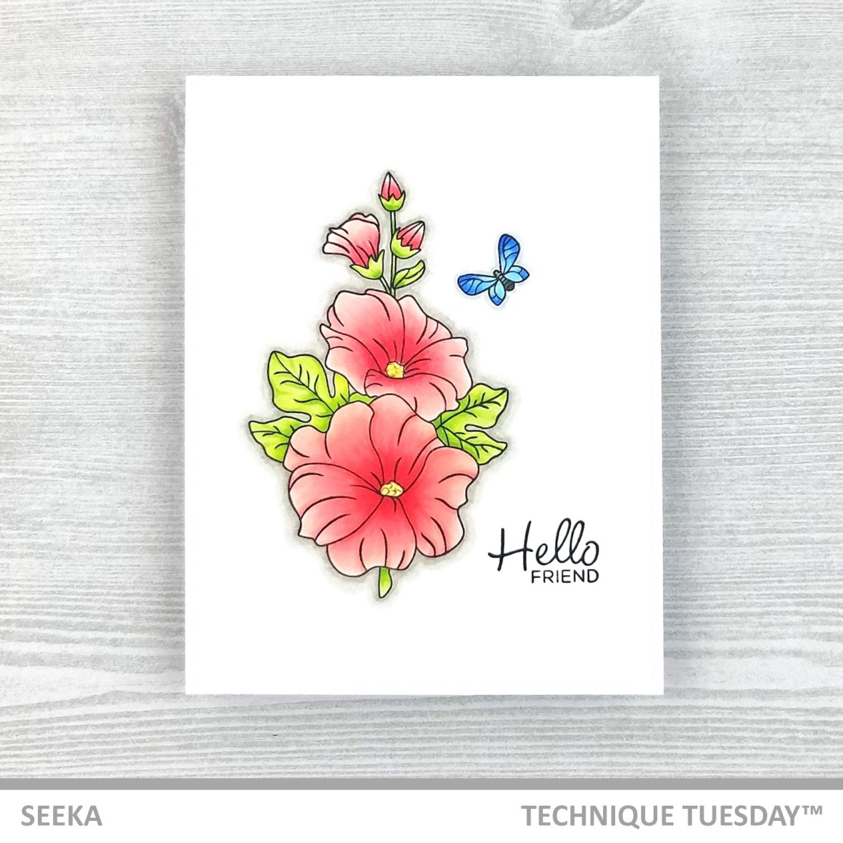 hollyhocks-seeka-5