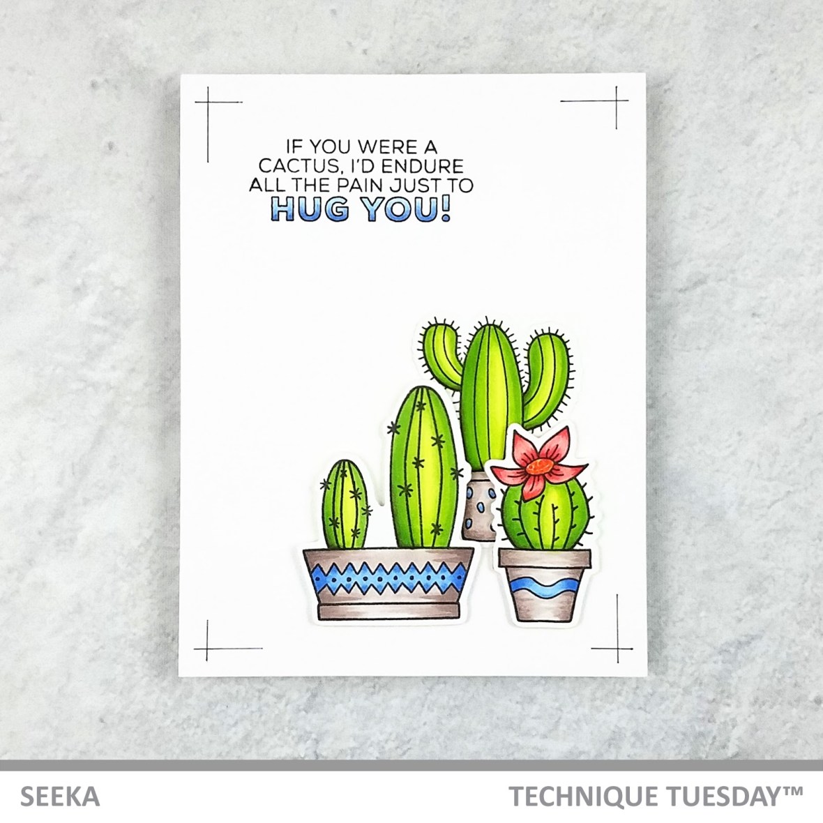 Seeka - A Little Prickly 1