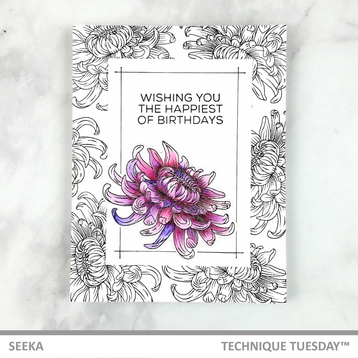 seeka-chrysanthemum-1a