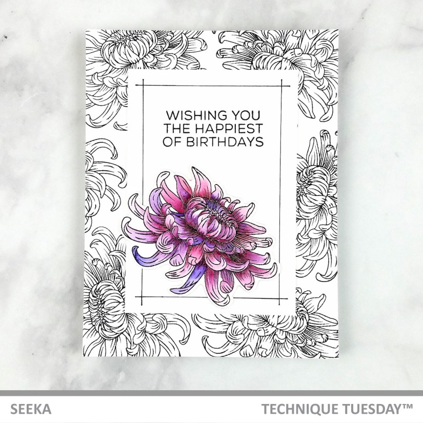 seeka-chrysanthemum-1a