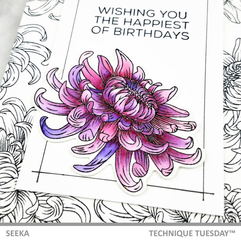 seeka-chrysanthemum-1b