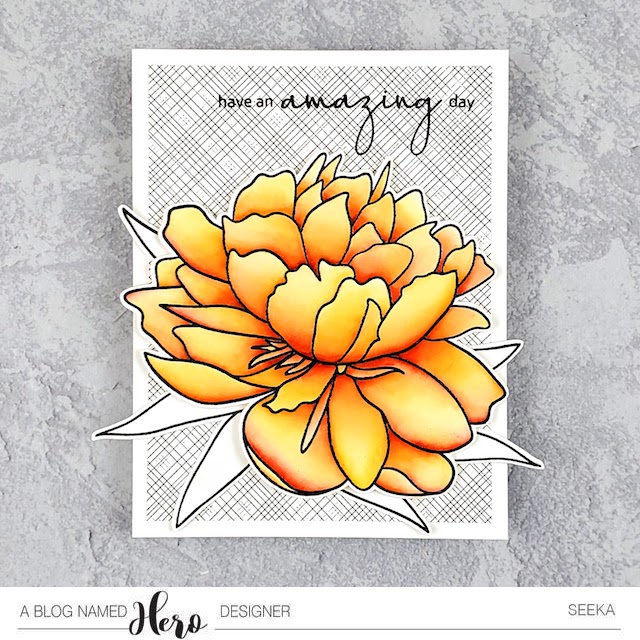 ABNH 2019-11 Seeka Solo 1