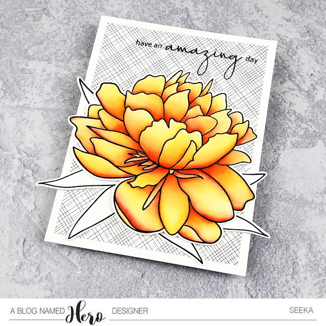 ABNH 2019-11 Seeka Solo 2