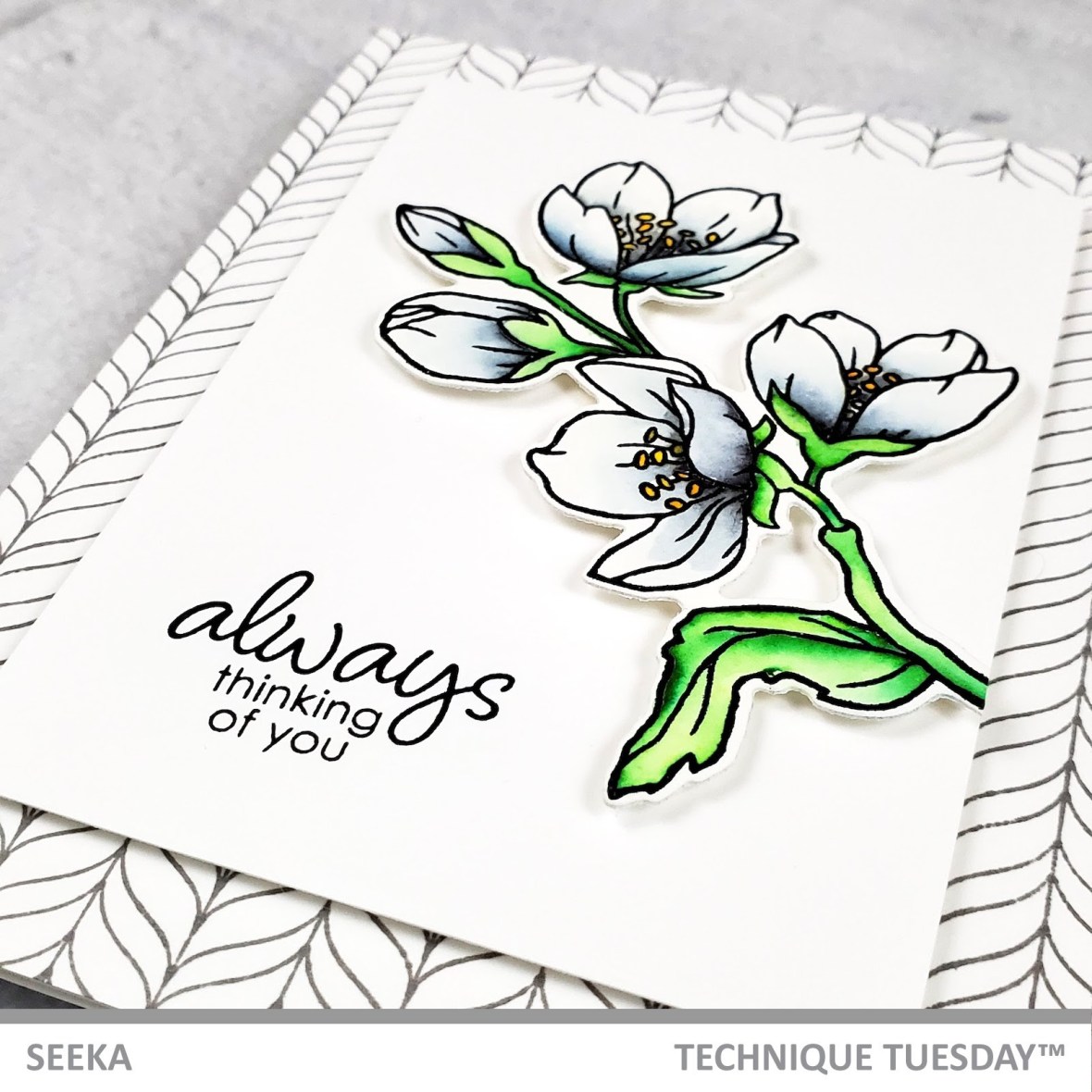 seeka-royal-jasmine-2