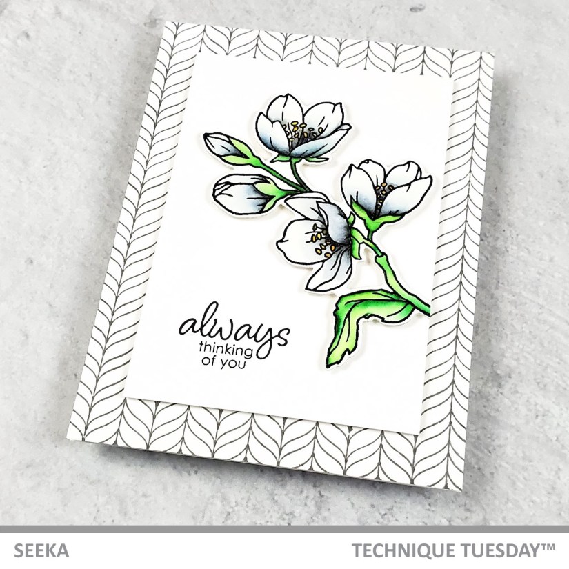 seeka-royal-jasmine-3