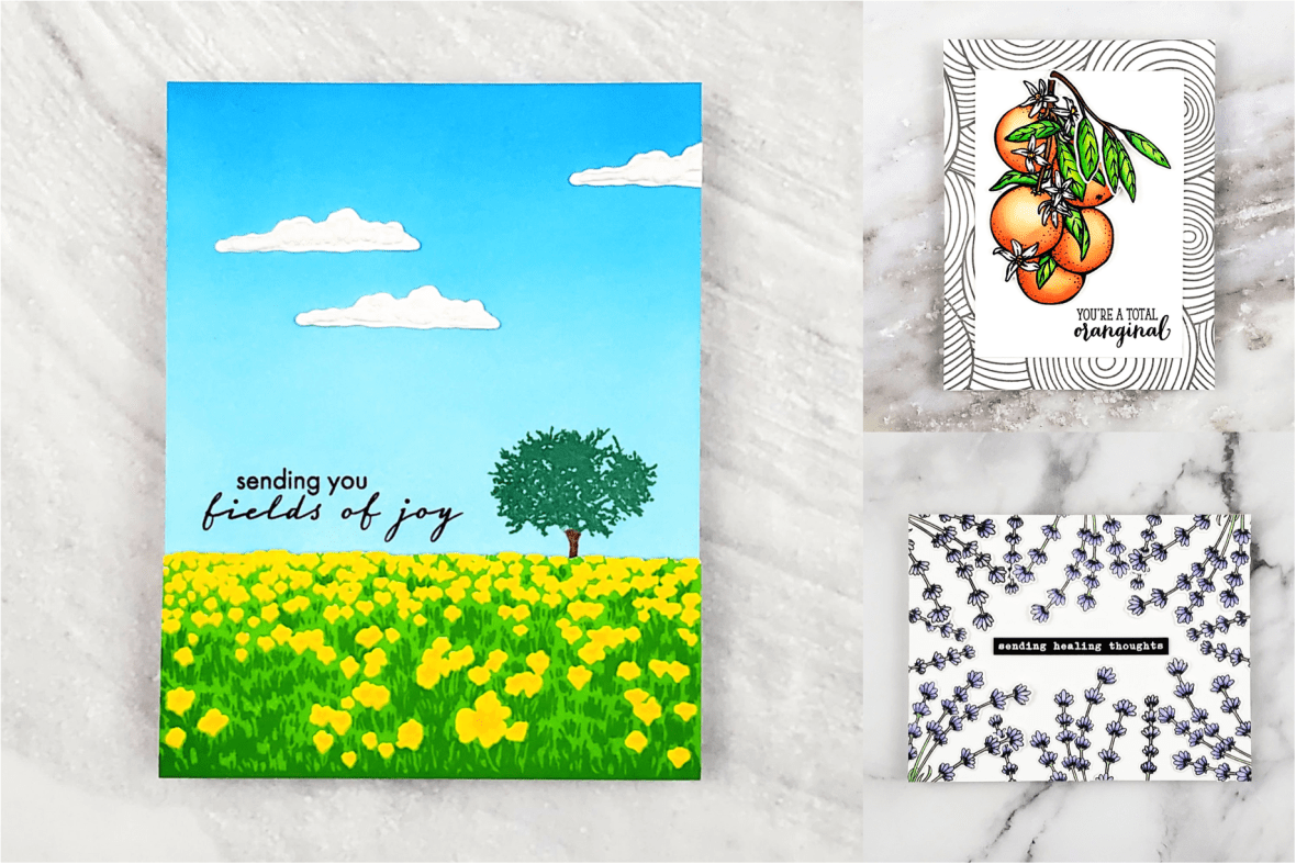 Screen Shot 2020-02-13 at 11.44.14 PM