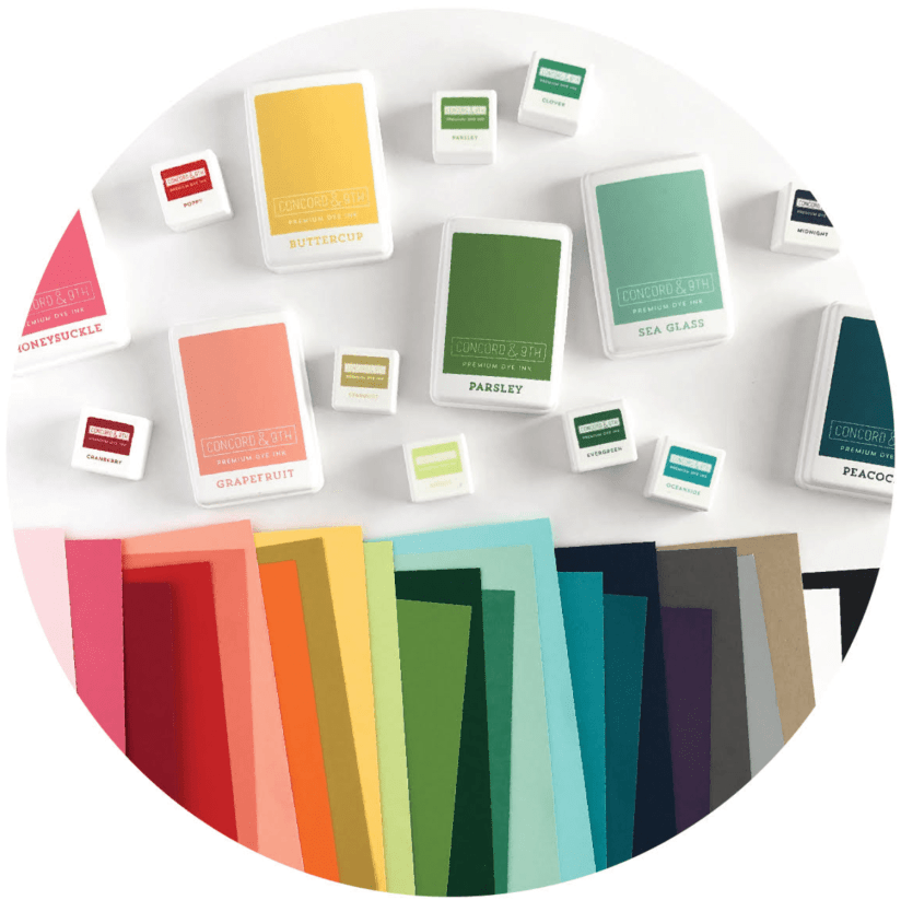 Screen Shot 2020-07-08 at 9.14.49 PM